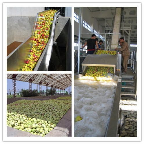 上海琛菲机械科技有限公司苹果生产线设备