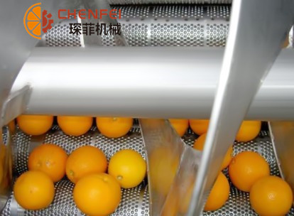 <b>柑橘类水果加工生产线</b>